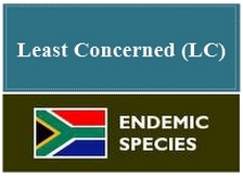 Least concerned Endemic species